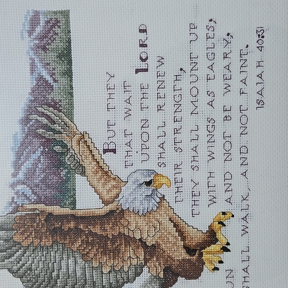 Counted Cross Stitch 'Wings Of Eagle' #114901 Finished & Framed - Picture 3 of 5